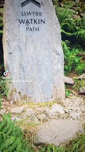 3.7K views · 17 reactions | Watkin Pools - Are a must visit in...