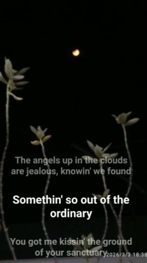 yesterday is special day #1234_drawing