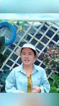 가지 삽목, 15일 만에 새싹 키우기! 🌿