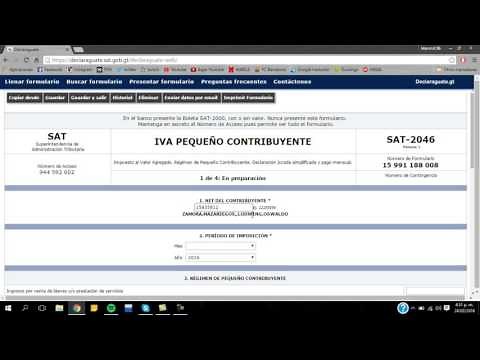 ¿Cómo llenar el formulario de pequeño contribuyente?