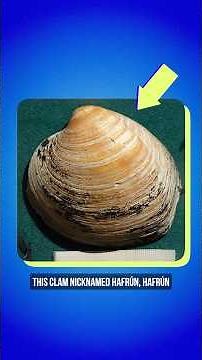 This 507 Year Old Clam Might Just Save the Planet