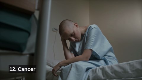 15 Fascinating Things Dogs Can Smell That Humans Can’t