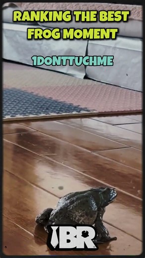 Ranking Top 4 Frog Noises That Made You LOL! 😭 #ranking #frog