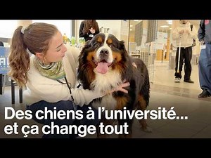 At this university, students can bring their dogs for the day.