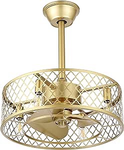 WINGBO 20" Caged Ceiling Fan with Lights and Remote, Gold, Industrial, Reversible Motor, 3 Speeds, Chandelier Ceiling Fan Light Kit for Bedroom, Living Room, Kitchen