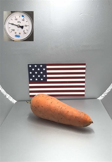 Vacuum VS Carrot… What’s next??? #oddlysatisfyingvideo #science #stem #fyp