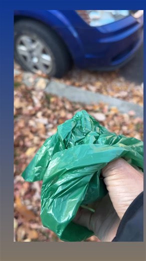 POV: Picking up poop just got a lil more challenging. Which season is WORST snow or leaves? 👀💩 #DogMomLife #PuppyMom #FallVibes #AutumnDays #LilMissFancyPaws | Cybill Denise