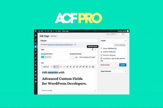 独立站wordpress自定义字段Advanced Custom Fields Pro创建字段和简码调用