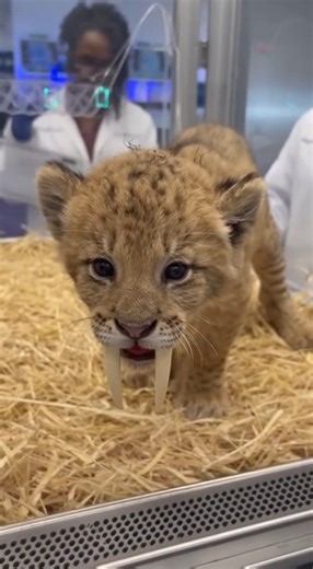 7.3M views · 7.7K reactions | In what is being called one of the most...