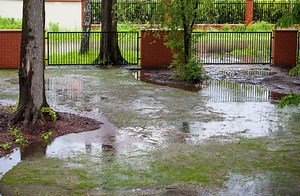 How to Change a Swampy Back Yard