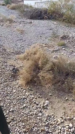 Sibbi Harnai Passeneger Train In Beautiful Landescape Wonderfull Balochistan . #pakistanrailways #paktrainactions #sibbiharnai #landescapes | Pak Rail Actions