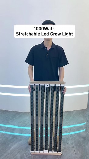 Ledgrowlight111 on TikTok