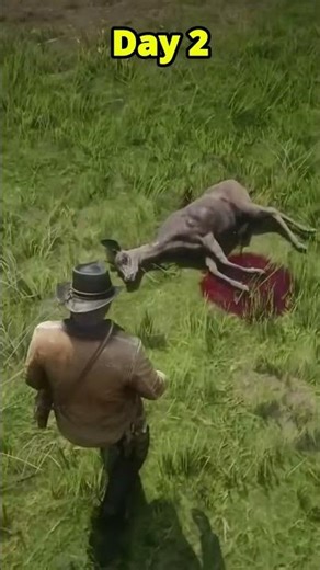 RDR2 Amazing Detail: Animal Decomposition Over Time