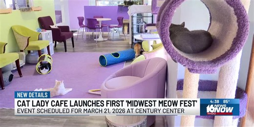 Cat Lady Café announces ‘Midwest Meow Fest’ at the Century Center