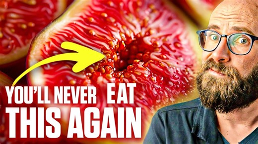 The Dark Side of Trivia: 50 Uncomfortable Truths