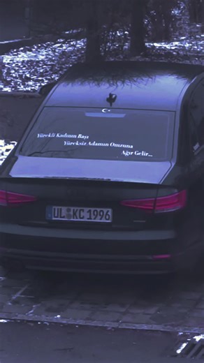 Engaging Car Stories and Quotes for Auto Enthusiasts