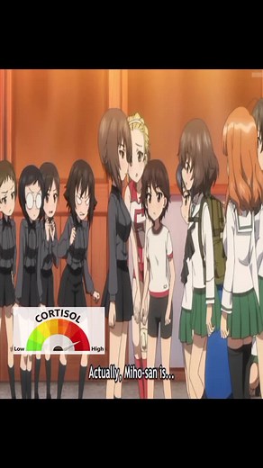 Girls und Panzer Edit Highlighting Key Moments
