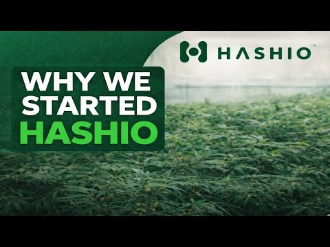 Why we started Hashio