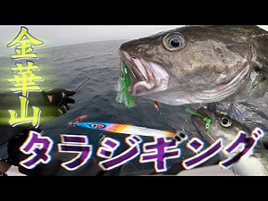【タラジギング】宮城県金華山で真鱈を狙ったらデカマダラきた！苦戦した理由とは・・・