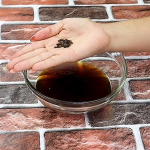 132K views · 1.8K reactions | Homemade repellent Keeps bugs away! Goodbye ANTS and FLIES! | Home Recipes | Facebook