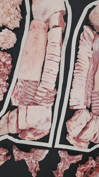 Watch it now on YouTube: A Visual Guide to the Cuts of a Pig: Learn Where Every Pork Cut Comes From! 🐽 Here are some of the topics covered in the video: How to break down a whole pig 🐖 The different cuts of pork and where they come from The total yield of meat from a whole pig Link in Bio! #fyp #foryou #thebeardedbutchers #youtube #butcher #butchering #pork #pig #meat #toolsofthetrade #watch now