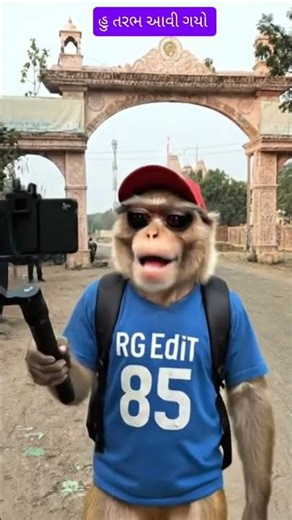 હુ આવી ગયો તરભ ગામ l New trending monkey Vlog video l monkey Vlog kese banaye