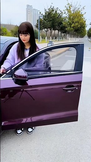 Summer's hot! Install a mosquito net on your car window! It protects against sun and UV rays