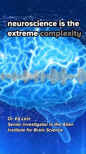 How to make an atlas of the brain 🧠 | Science Friday