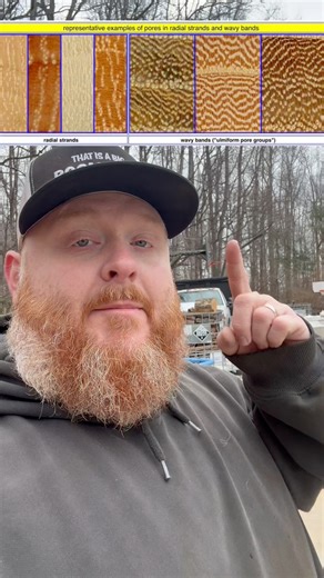 #firewood #trees #knowledge #learning #information #howto | Foothills Firewood