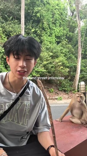 Street Interview with a Playful Monkey in Thailand
