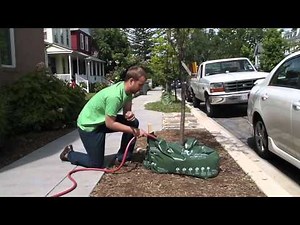 How to Water a Tree