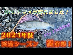 【フライフィッシング】2024年度 渓流釣りシーズン 祝解禁！in上野村