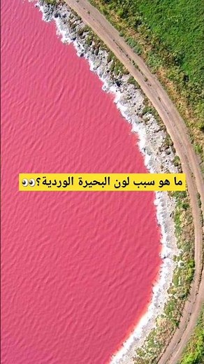 ما هو سبب لون البحيرة الوردية؟