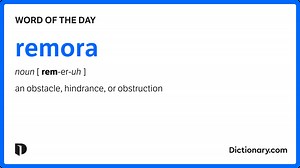 Dictionary.com | Meanings & Definitions of English Words