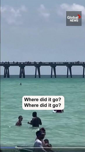 “Get out of the water!”: Swimmers surprised by shark at Florida beach