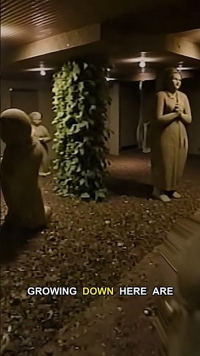 The Secret Of Level 6.1's Statues #backrooms