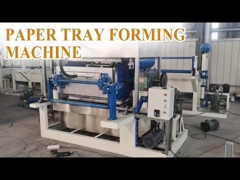 Paper Tray Forming Machine Full Working Process #eggtray #egg #paper #recycle