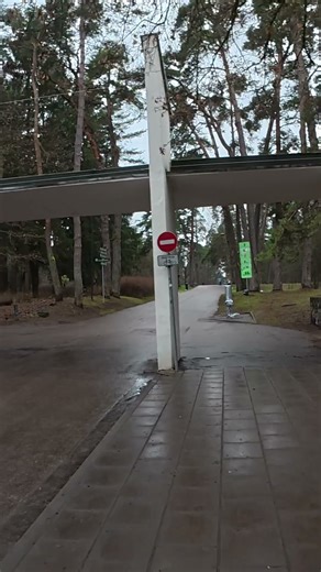 Vilnius City → Pine Park 🌲 Entering Vingio Parkas POV Short