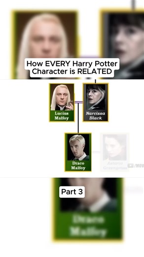 #harrypotter #cedricdiggory #albusdumbledore #movie | cedric diggory