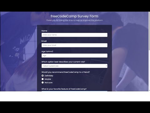 Building a Survey Form - with CSS - Part 2