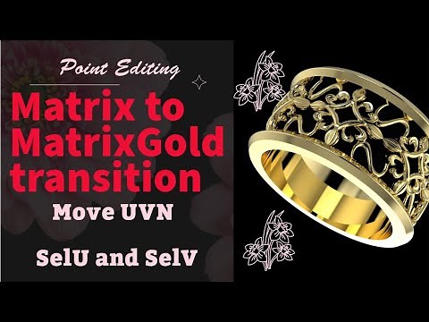 MatrixGold Point editing