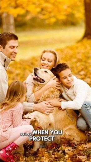 How does your dog remember you...even after YEARS? #dogfacts #animalfacts #usa #petlover