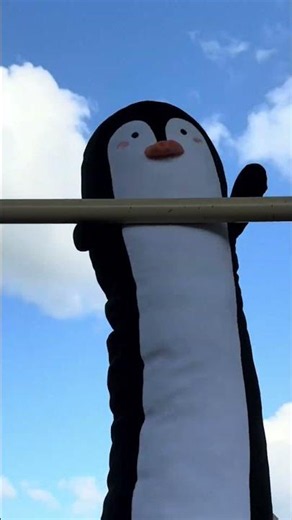 You can’t rush Fred out of the park #penguin #plushie #cutepenguin #giantplushie