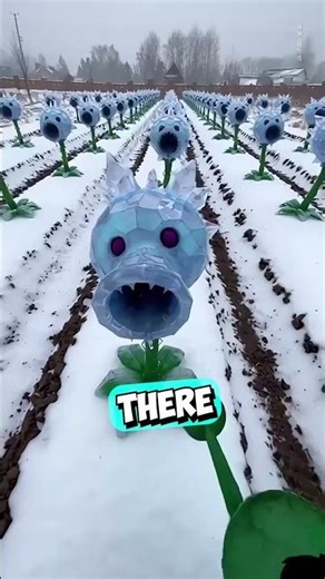 These Plants Can Shoot Peas 😳 (@taplamnongdan91/TT)