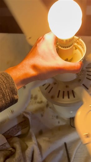 42” Westinghouse Princess Ceiling Fan - ReStore Table Test