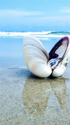 94K views · 121 reactions | Did you know this? ⬇️ . In one of my...