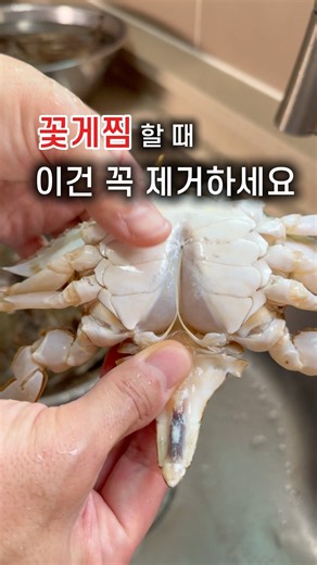 가을 제철 꽃게, 비린내 1도 없이 완벽하게 찌는 법 대공개! 🦀✨#꽃게찜 #꽃게손질법 #가을꽃게 #꽃게찌는법