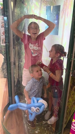 Rainforest café! hurricane simulator