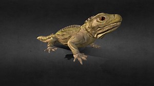 Lizard - Download Free 3D model by Froggreen