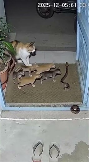 YOU WON'T BELIEVE What Happened at the Door!